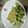 まさかずんた's cooksnap of when they made モロッコインゲンのごま味噌和え。.