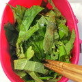 YU-ZEN's cooksnap of when they made 大葉のしょうゆ漬け♪簡単大葉の大量保存.