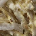れそそ's cooksnap of when they made 白菜サラダ わさマヨ味.