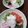 松潤LOVE♥️♥️'s cooksnap of when they made * 冷たいわかめおろしうどん *.