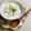 いなばっくす☆'s cooksnap of when they made ✿甘くてジュ～シ～✿間違い梨ヨーグルト.