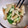 アクセル☆'s cooksnap of when they made きゅうりと薄上げのごまマヨ和え.
