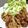 もちっこ橙色's cooksnap of when they made 豚モモスライスの唐揚げ.