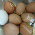 ﾌﾞﾚﾝﾀﾞ's cooksnap of when they made ＊基本の基本！ゆで卵&殼むき＊.