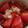 ヨシヨッシー's cooksnap of when they made 人気検索1位！「トマトのマリネサラダ」.