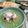 イベ長's cooksnap of when they made 煮込むだけのテールスープ（コムタン）.