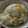 picachi's cooksnap of when they made 塩と酒だけ簡単とうもろこしご飯.