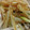 tsmitaka's cooksnap of when they made 大根とみょうがときゅうりのさっぱりサラダ.