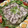 ﾌﾞﾚﾝﾀﾞ's cooksnap of when they made 私のちょうどいい＊もやしの茹で方＊.