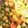 クック2Y83ZA☆'s cooksnap of when they made ウインナーとポテトと枝豆の塩コショウ炒め.