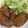 クック2H9MD0☆'s cooksnap of when they made 簡単！放置！手羽元のポン酢煮☆.