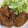 クック2H9MD0☆'s cooksnap of when they made 簡単！放置！手羽元のポン酢煮☆.