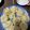 あめきゃっと's cooksnap of when they made 食べてみたい！焼き小龍包.