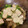 kuuchan86's cooksnap of when they made ホタテと小松菜のオイスター炒め.
