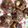 ＊miel＊'s cooksnap of when they made オートミールのプロテインバー.