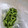 NEKOほっぺ's cooksnap of when they made ＊便利＊枝豆の冷凍保存＊.