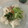 papikun's cooksnap of when they made 夏野菜と梅のさっぱり冷麦♬.