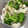伊藤。's cooksnap of when they made 作り置き♪鶏ささみとブロッコリーの和え物.