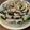 クック45YMKM☆'s cooksnap of when they made ズッキーニと豚バラのさっぱりレンチン蒸し.