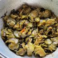 ゆずママと畑's cooksnap of when they made 美味い！キュウリのつくだ煮.