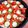 ちぃろる♪'s cooksnap of when they made スキレットで簡単♡シーフードパエリア.