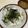 papikun's cooksnap of when they made 釜揚げしらす丼.
