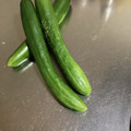 みみふぁん's cooksnap of when they made 長持ちのコツ☆きゅうりの冷蔵庫保存.
