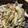 きく7AW7TV☆'s cooksnap of when they made 簡単！旨い！きゅうりみょうがのおかかマヨ.