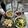 ebipeco's cooksnap of when they made まぐろアボガド＋長芋DEユッケ丼.