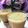 Ta_chan☆'s cooksnap of when they made 大人の豆乳プリン.
