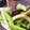 クックG1CG0C☆'s cooksnap of when they made 捨てないで！ツルムラサキの茎で炒め物！.