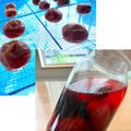 runa10's cooksnap of when they made 梅干を作ってみよう☆～土用干し♪.