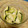 美和のキッチン's cooksnap of when they made ズッキーニのサラダ★シンプルにベスト食感.