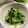 CHISA☆ごはん♪'s cooksnap of when they made 小松菜と小エビのゴマ和え♪.
