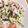 ❁ユリメッコ❁'s cooksnap of when they made カニカマときゅうりのサラダ.