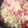 aritya's cooksnap of when they made ぶどうの皮がつるりん♪.