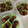 ツルコ's cooksnap of when they made お弁当のおかずに冷凍自然解凍のつくね.