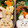 やーヤ's cooksnap of when they made だるまうさぎ弁当☆ちいかわキャラ弁.