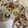 snow012's cooksnap of when they made 【農家のレシピ】れんこんの塩炒め.