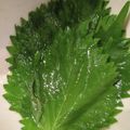 ゆなひママ's cooksnap of when they made 無限青じそ~青じその大量消費に~.