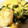 no1642's cooksnap of when they made ほうれん草とエビのバタぽん卵とじ！.