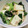 料理初心者☆☆'s cooksnap of when they made 小松菜と厚揚げと椎茸の和風炒め♪.