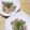 ☆ぽちのおやつ☆'s cooksnap of when they made 節約食材で！もやしと豚こまの中華風炒め.