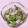 わたさな2016's cooksnap of when they made ゴーヤーとベーコンのニンニク炒め.