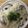 かおり♡♡♡'s cooksnap of when they made ダイエット♪生姜豆乳きのこスープ.