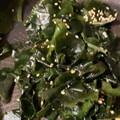 ふぁんころ's cooksnap of when they made 簡単・節約！わかめの旨塩炒め.