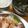 2児ママみきてぃ's cooksnap of when they made *超簡単♡もやしとわかめのコンソメスープ.