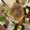 はすむし's cooksnap of when they made 餃子.