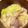 ＲＡＶらぶ's cooksnap of when they made 尾形風の馬肉鍋 ～さくら鍋～.