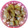 ★ショコラ姫★'s cooksnap of when they made 子どもがもりもり食べる簡単とり大根.